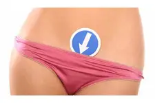 Genital Bölge Türleri ve Özellikleri